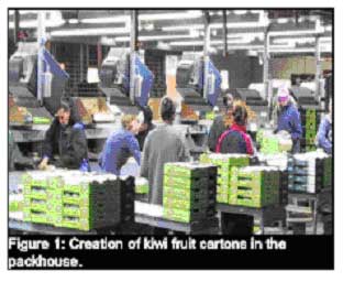 Fruit and vegetable tracking and tracing
