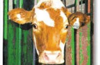 RFID Animal Husbandry Application