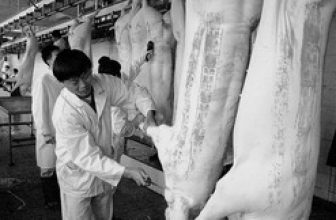 Shanghai Wufengshang Meat Processing Factory introduces RFID tags for production management