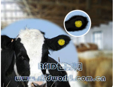 U.S. Department of Agriculture uses tens of thousands of RFID ear tags to control animal tuberculosis