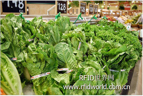 California State Polytechnic University researches the use of RFID and sensors to prevent the production of E. coli