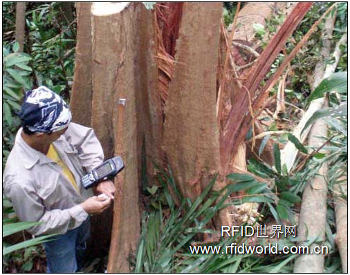 The Ministry of Forestry of Malaysia uses RFID to track timber and manage forests