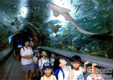 It is difficult to monitor underwater creatures, and the underwater world is equipped with RFID
