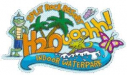 U.S. indoor water park deploys RFID system to enhance visitor experience
