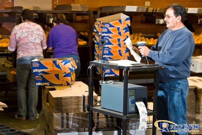 Intermec provides a mature food safety production tracking system for LoBue Citrus
