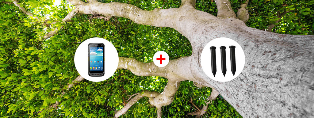 The Application of RFID Technology in the Management of Ancient and Famous Trees