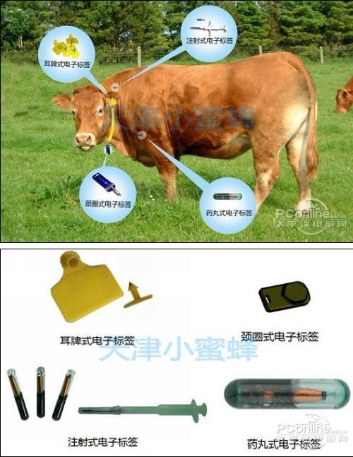 Application of RFID in animal identification and tracking