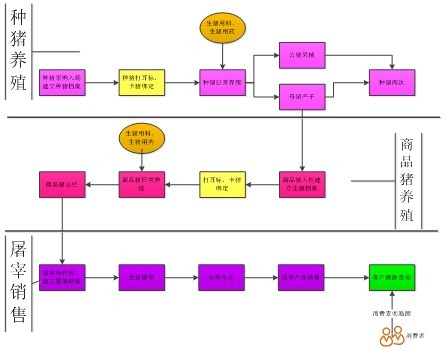 Application Case of "Live Pig Food Traceability System" of Yixing Changxing Ecological Agriculture Co., Ltd.