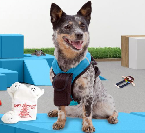 BarkShop Live uses RFID technology to help dog owners make shopping decisions