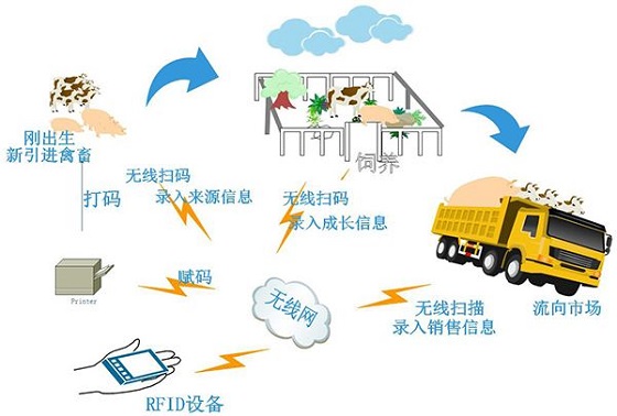 Application case analysis of RFID in modern dairy farms