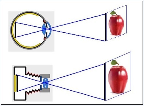 Application of 3D Inspection Technology in Printing Quality Inspection