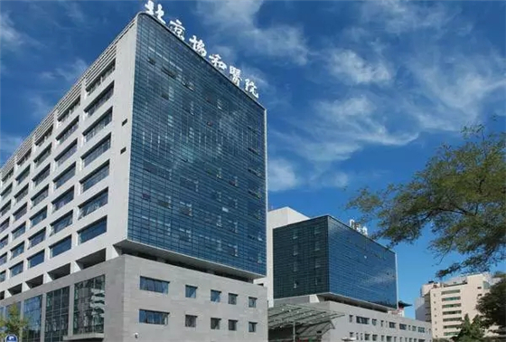 A case of a hospital's intelligent system