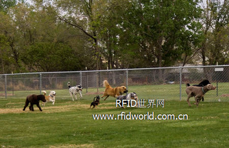 GAO RFID technology applied to Canadian Dog Park