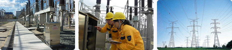 Power asset inspection