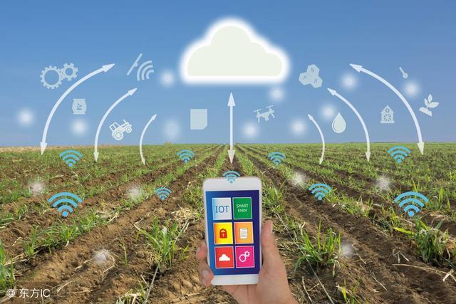 Research on Application of Internet of Things Technology in Fruit and Vegetable Cold Chain Logistics