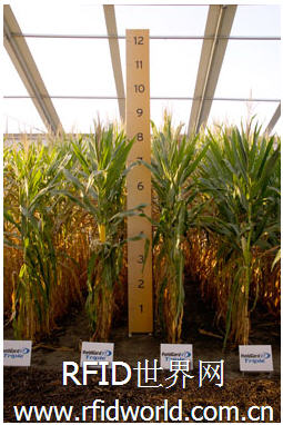 Monsanto test uses RFID tags to track seed packets