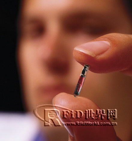 ACC in the U.S. Trials to Implant RFID Chips into Patients with Alzheimer's Disease