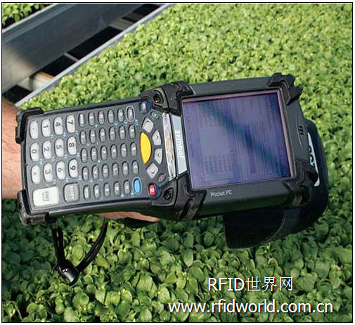 RFID system helps increase nursery income