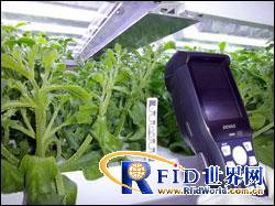 Fujitsu adds RFID solution to Akisai Agriculture Cloud