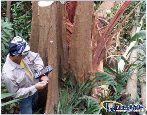 RFID system helps Malaysia start timber legality verification