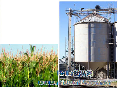 Intelleflex and Minds Jointly Release RFID Crop Harvest Automatic Tracking Solution