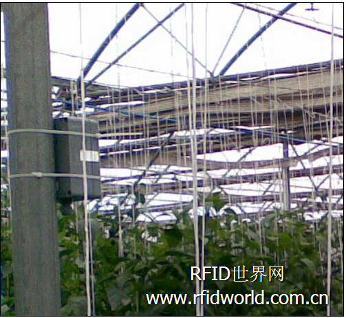ClimateMinder wireless sensor system monitors environmental conditions in farms, greenhouses and warehouses
