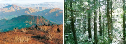 Liaoning Benxi Forestry GPS Patrol Management System Case