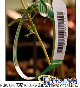 Medical marijuana passive RFID tag tracking system application case