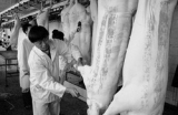 Shanghai Wufengshang Meat Processing Factory introduces RFID tags for production management