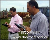Uruguay completed RFID labeling of 2 million heads of cattle