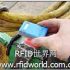 Lemon grower uses HF RFID system to track employee productivity