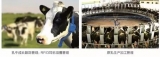 Application case of RFID technology in dairy traceability