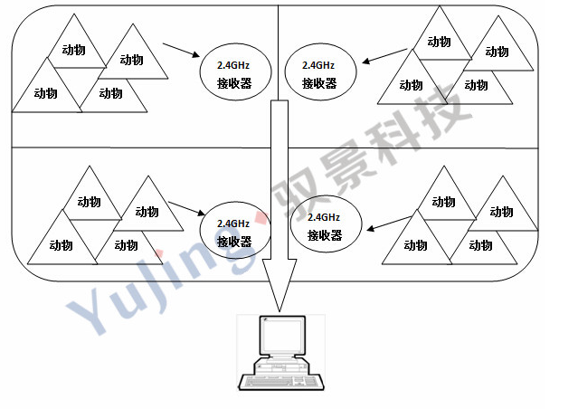 Individual positioning and management of small pastures (animals)