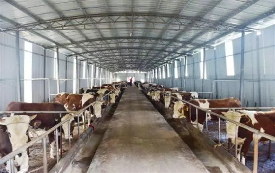 RFID technology-based animal food safety traceability system solution