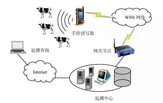 RFID and WSN combination of breeding information traceability program
