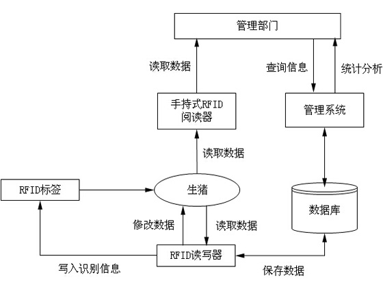 Bull RFID management system solution