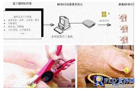 Suzhou Xindao RFID Food Traceability Solution