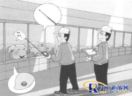 RFID poultry production management system solution