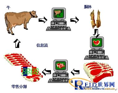 Beef tracking system solution based on UHF RFID
