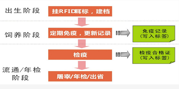 Animal husbandry intelligent traceability management system