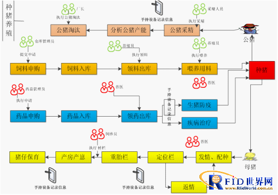 Breeding pig breeding business flow chart