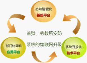 Brief Introduction of Intelligent Prison Management System