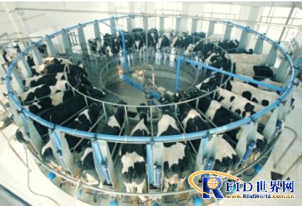 Integrated management information platform solution for animal husbandry