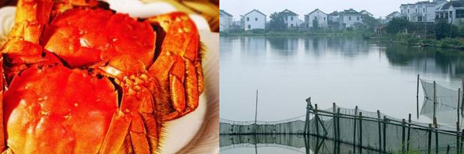 RFID anti-counterfeiting traceability solution for hairy crabs