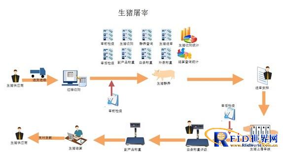 KS-I pig slaughter sales management system slaughter management solution