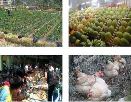 RFID food safety anti-counterfeiting traceability management system