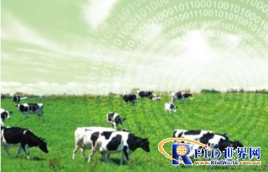 Livestock RFID traceability solution