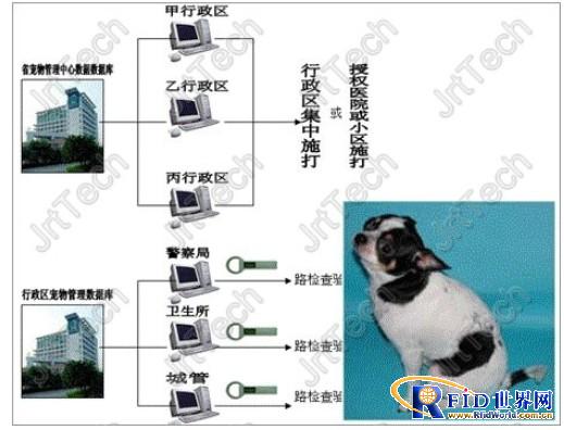 SMC pet overall supporting program