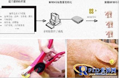 Solutions for the three major systems in Gaote’s "Reliable Meat" Project