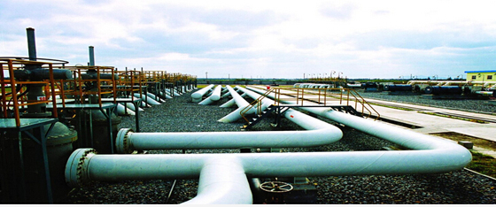 Petroleum pipeline inspection system